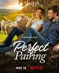 Bộ đôi hoàn mỹ | A Perfect Pairing (2022) Bộ đôi hoàn mỹ | A Perfect Pairing (2022)