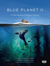 Đại Dương Sâu Thẳm 2 | The Blue Planet 2 (2015) Đại Dương Sâu Thẳm 2 | The Blue Planet 2 (2015)