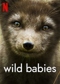 Động vật chào đời | Wild Babies (2022) Động vật chào đời | Wild Babies (2022)