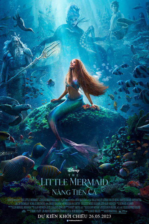 Nàng Tiên Cá | The Little Mermaid (2023) Nàng Tiên Cá | The Little Mermaid (2023)