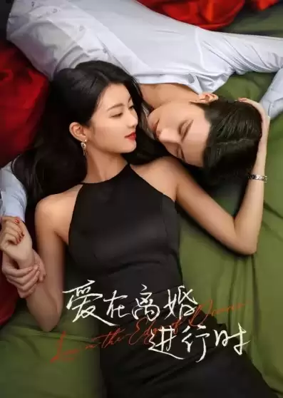 Yêu Khi Sắp Ly Hôn | Love on the Edge of Divorce (2025)